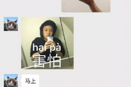 屯昌如何避免债务纠纷？专业追讨公司教您应对之策